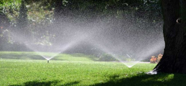 Impianto di irrigazione interrato: vantaggi e consigli per la progettazione